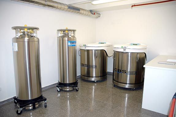 Tanques de nitrógeno líquido