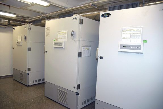 Congeladores de -80ºC