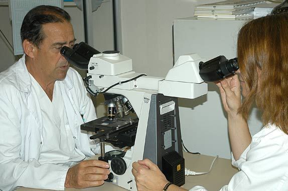 Laboratorio de procesamiento